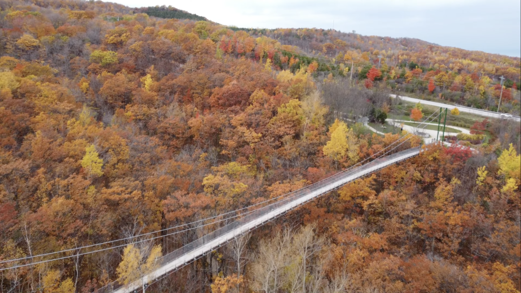 A happy weekend getaway: Best Trip to Georgian Bay Loop